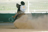 Veja fotos da prova Freio de Ouro BT Paineiras