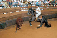 Veja fotos da prova de Mangueira BT Paineiras